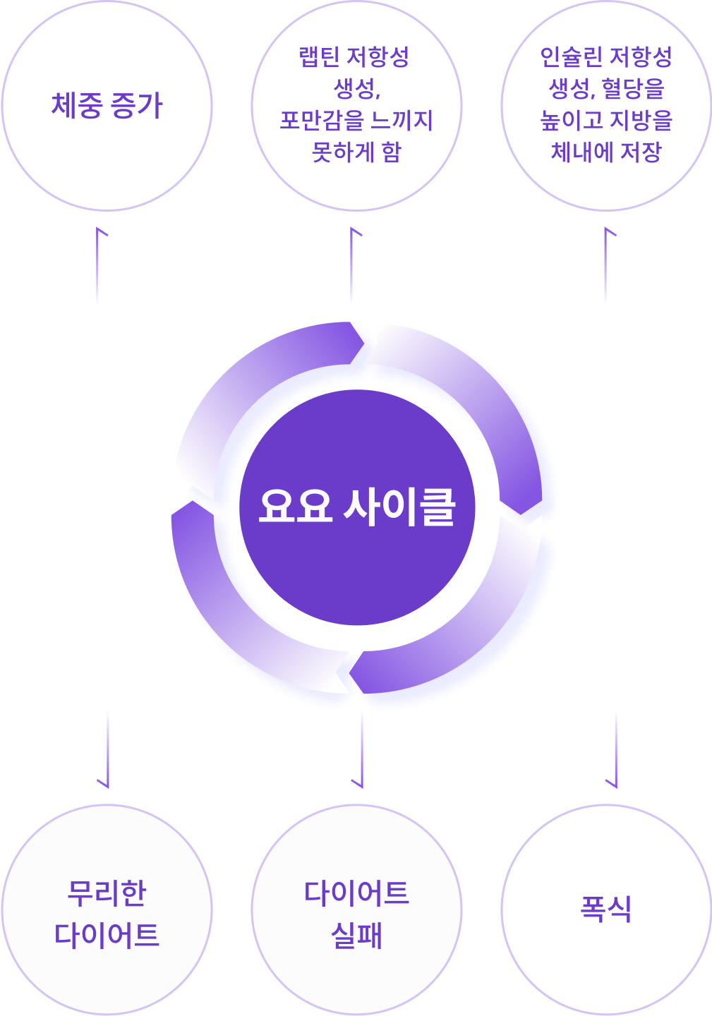 요요 사이클:무리한다이어트, 다이어트실패, 폭식, 인슐린 저항성 생성, 혈당을 높이고 지방을 체내에 저장, 랩틴 저항성 생성, 포만감을 느끼지 못하게 함, 체중 증가