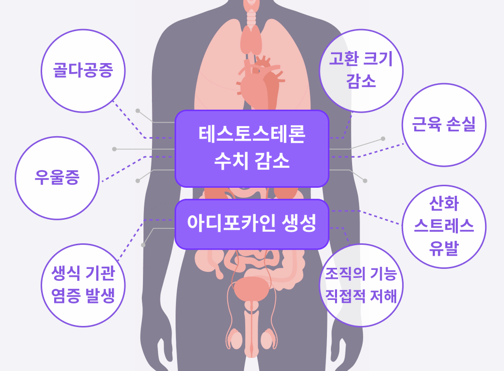 비만남성에게 다이어트가 필요한 이유